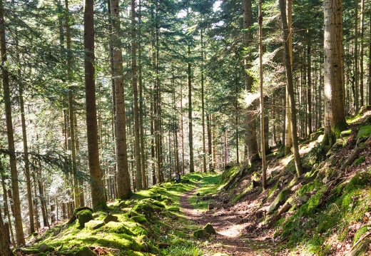 20220205202139-d7aed7b7